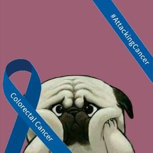 Meet your Posher, Carol